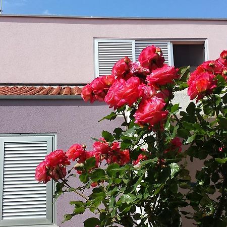 Apartment Ika Zadar Ruang foto